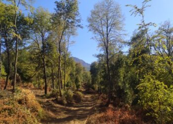 Firman Acuerdo de Producción Limpia para manejo sustentable del bosque nativo en Coyhaique
