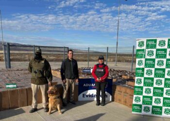 Histórica incautación en Aysén: Fiscalía formaliza a conductor por contrabando de 300 mil cajetillas de cigarrillos