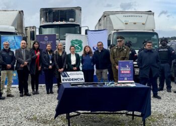 Desarticulan red criminal dedicada a la pesca ilegal: siete detenidos en operativo conjunto en Calbuco