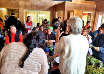 Puerto Guadal reunió a más de 50 personas en taller sobre plantas medicinales