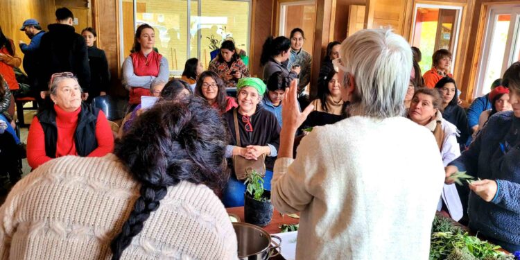 Puerto Guadal reunió a más de 50 personas en taller sobre plantas medicinales