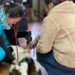 Anuncian nuevo operativo gratuito de esterilización para mascotas de Coyhaique