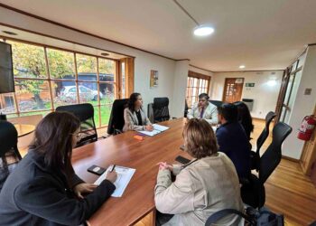 Mesa Interinstitucional busca fortalecer verificación de identidad mediante registro ADN CODIS en Aysén