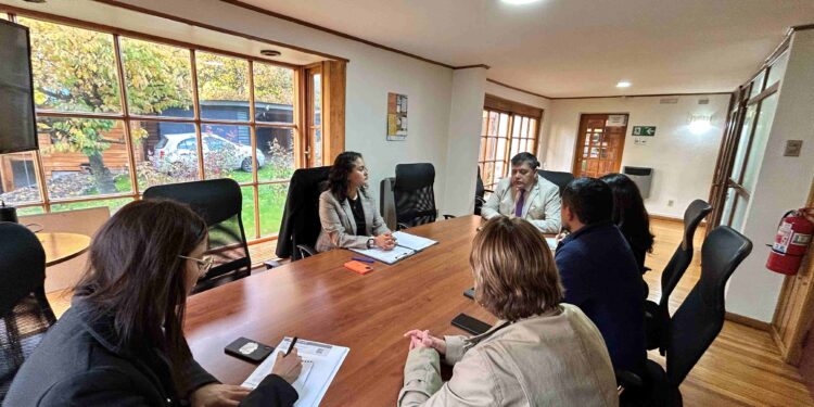 Mesa Interinstitucional busca fortalecer verificación de identidad mediante registro ADN CODIS en Aysén