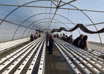 Productores hortícolas de Aysén inician programa Corfo-INACAP para modernizar la agricultura local