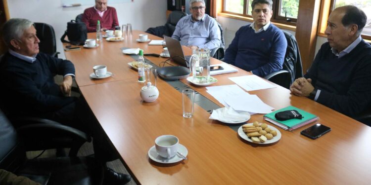 “A través de Puerto Chacabuco se realiza gran parte del cabotaje de la región y es un indicador súper preciso de qué está pasando en Aysén, lo que evidentemente nos preocupa”
