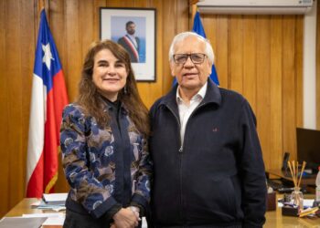 Ministerio de Seguridad Pública inicia funciones en Aysén con la designación de seremi interina