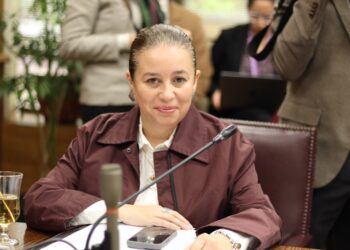 Senadora Órdenes asume la presidencia de la Comisión “Desafíos del Futuro, Ciencia, Tecnología e Innovación” poniendo el acento en abrir oportunidades en sectores productivos estratégicos para Chile