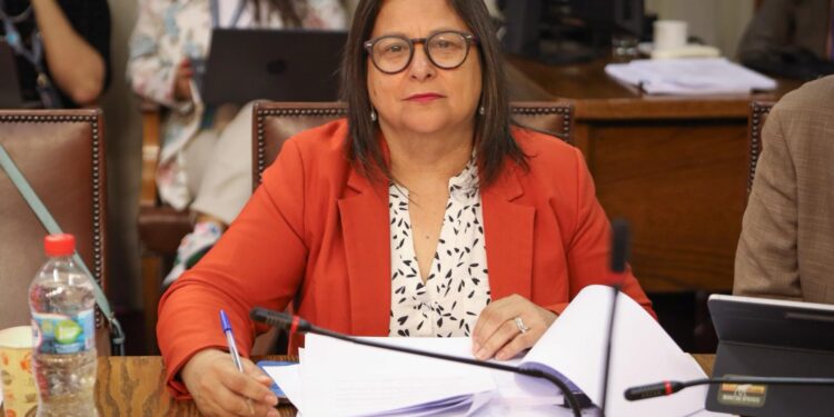 Diputada Marcia Raphael lamenta falta de acciones concretas tras reunión con el ministro de Agricultura y representantes del agro en Aysén