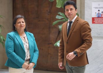 Diputados de la zona sur austral solicitan extender y aumentar monto del subsidio eléctrico
