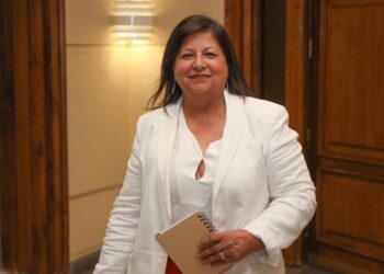 Diputada Marcia Raphael apoya y destaca proyecto para reducir costos energéticos y potenciar energías renovables en la Región de Aysén