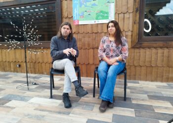 Claudia Andrade, expresidenta de la Cámara de Comercio de Puerto Aysén: «El comercio informal está casi como en tierra de nadie»