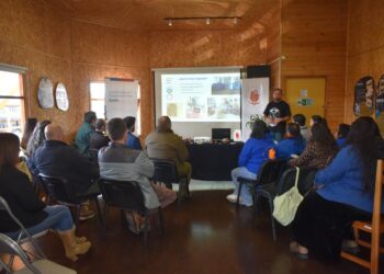 Chile Chico proyecta el futuro productivo de sus arcillas con identidad local