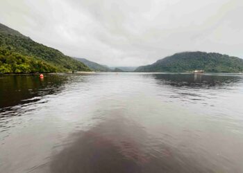 PDI Aysén confirma presencia de microalga en aguas de Puerto Chacabuco