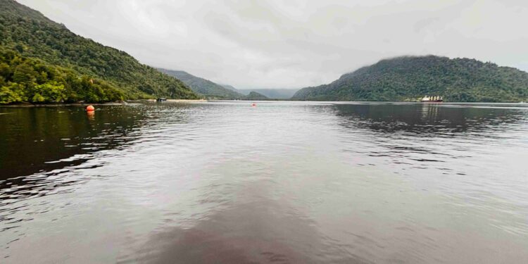 PDI Aysén confirma presencia de microalga en aguas de Puerto Chacabuco