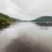 PDI Aysén confirma presencia de microalga en aguas de Puerto Chacabuco