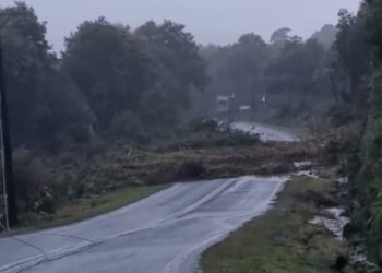 Deslizamiento bloquea Ruta 7 Norte en sector Santa Bárbara: tránsito completamente interrumpido
