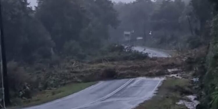 Deslizamiento bloquea Ruta 7 Norte en sector Santa Bárbara: tránsito completamente interrumpido