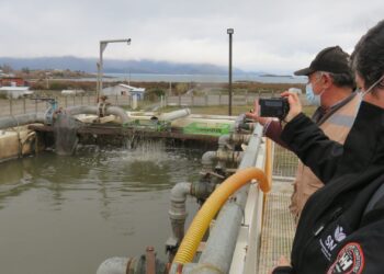 SMA inicia proceso sancionatorio contra Municipalidad de Chile Chico por graves incumplimientos en planta de tratamiento de Puerto Guadal