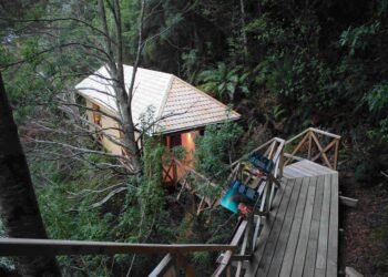 Aysén se proyecta como líder en turismo científico con nuevos Centros de Interpretación Ambiental