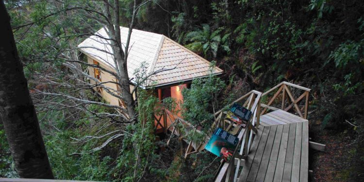 Aysén se proyecta como líder en turismo científico con nuevos Centros de Interpretación Ambiental