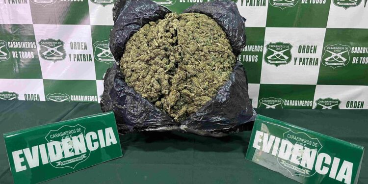 Más de 8 kilos de droga fueron incautados en dos procedimientos realizados por el OS-7 de Carabineros