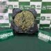 Más de 8 kilos de droga fueron incautados en dos procedimientos realizados por el OS-7 de Carabineros