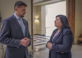 Diputados de la Comisión de Educación critican impacto del paro convocado por el Colegio de Profesores