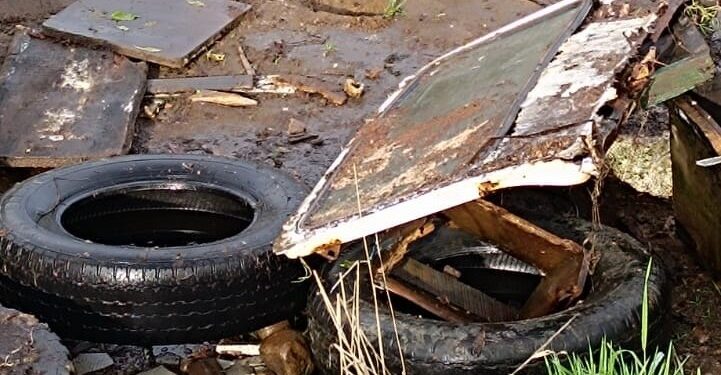 Puerto Aysén Refuerza Conciencia Ambiental con Operativo de Limpieza