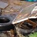 Puerto Aysén Refuerza Conciencia Ambiental con Operativo de Limpieza