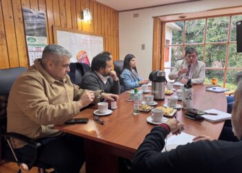 Se realiza primera reunión 2025 de la Comisión del Tribunal de Tratamiento de Drogas y Alcohol en Coyhaique