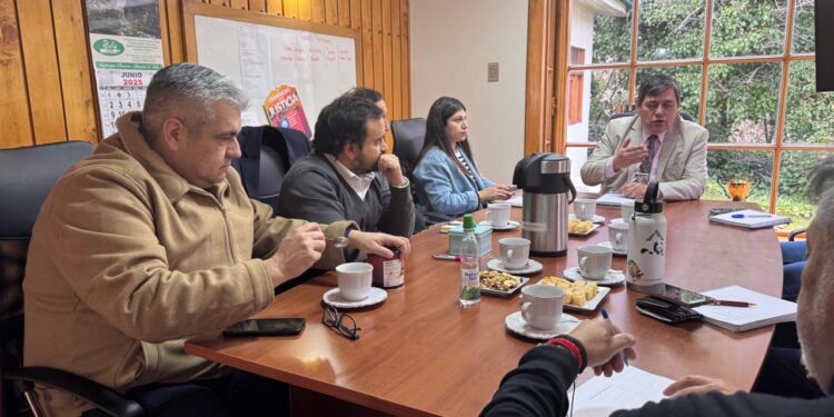 Se realiza primera reunión 2025 de la Comisión del Tribunal de Tratamiento de Drogas y Alcohol en Coyhaique