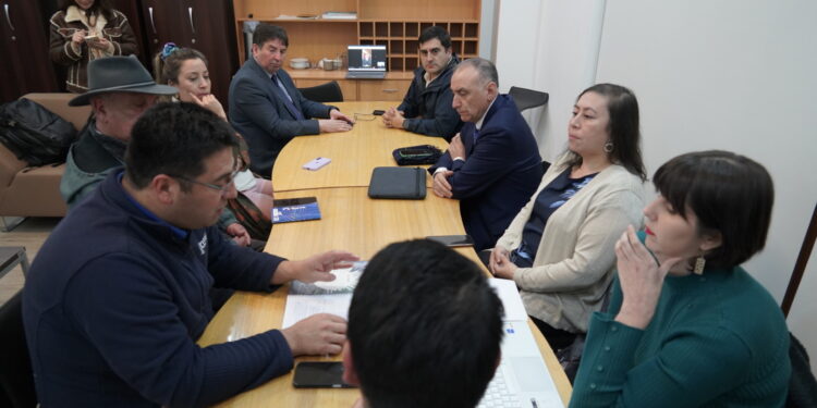 Alcaldes de Aysén solicitan al Gobierno Regional apertura de fondos para planes de empleo