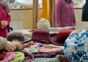 Gobierno Regional de Aysén aprueba recursos para municipalidad de Coyhaique