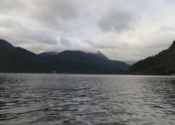 Sernapesca denuncia vertimiento ilegal de peces muertos en el litoral de Aysén