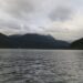 Sernapesca denuncia vertimiento ilegal de peces muertos en el litoral de Aysén