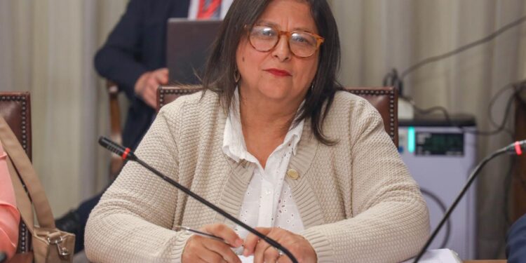Diputada Marcia Raphael solicita transparencia en el avalúo fiscal y exige medidas por el aumento de las contribuciones en la región de Aysén