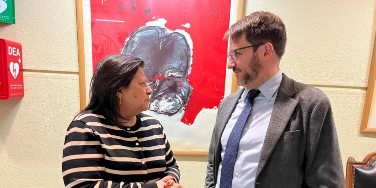 Diputada Marcia Raphael valora aprobación de proyecto sobre sistema eléctrico en zonas extremas: “Permitirá reducir el costo de la energía y diversificar nuestra matriz energética con Energías Renovables”