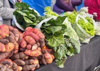 Seminario regional busca promover sistemas alimentarios sostenibles en Aysén