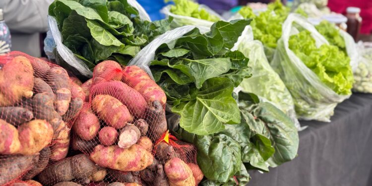 Seminario regional busca promover sistemas alimentarios sostenibles en Aysén