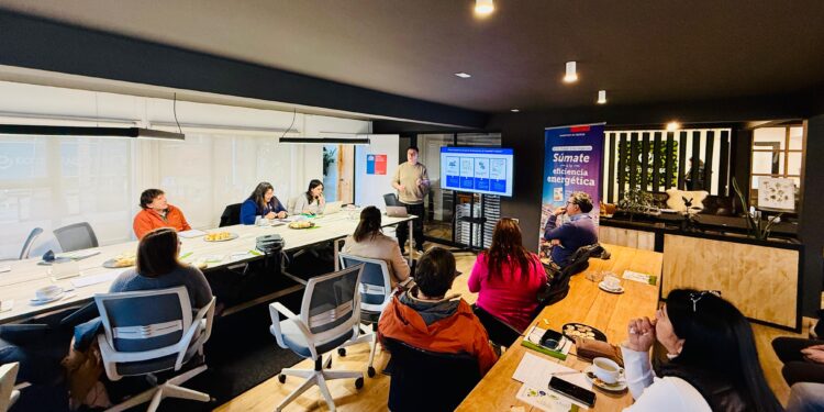 MiPymes de Aysén reciben capacitación energética para mejorar su competitividad