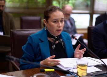 Cáncer de mama triple negativo: Senadora Órdenes pide al ejecutivo avanzar en una respuesta para las pacientes