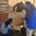 Detectan grave caso de maltrato animal en Ensenada Valle Simpson: cuidador detenido