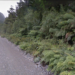 SMA inicia procedimiento ambiental contra dos proyectos inmobiliarios en Aysén
