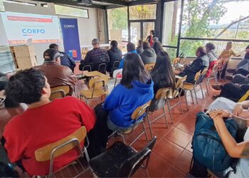 Aserraderos y mueblerías de Aysén se capacitan en tecnología e innovación con apoyo de Corfo