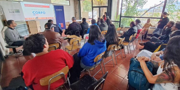 Aserraderos y mueblerías de Aysén se capacitan en tecnología e innovación con apoyo de Corfo