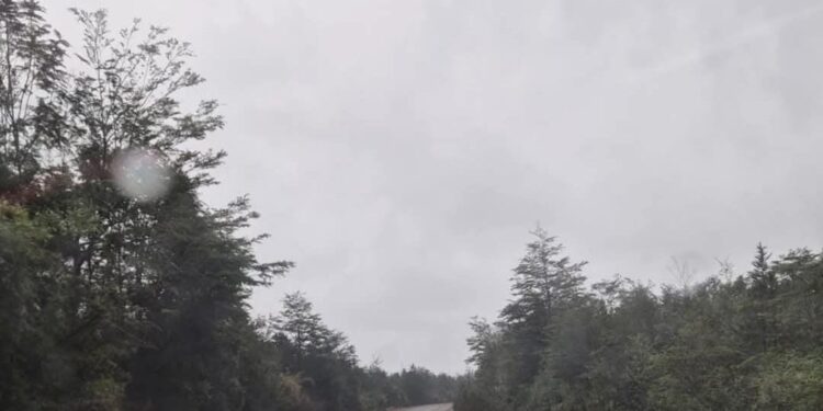 [Actualización 19:00 horas] Sistema frontal provoca cierres de rutas y suspensiones de barcazas en la Región de Aysén