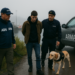 Fiscalía formaliza a pasajero tras incautación de marihuana en Puerto Cisnes