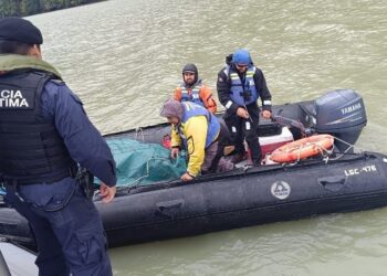 Trabajador fallece durante labores de buceo en centro de cultivo cercano a Puerto Cisnes