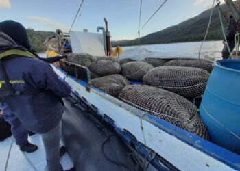 Resolución sobre zona contigua genera inquietud en Aysén por impacto en recursos pesqueros